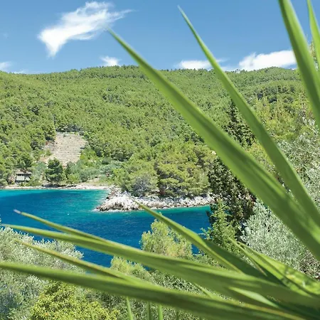 度假居 Poplat 19 *